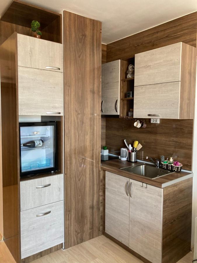 Mirabell Studio Bansko - Amazing View & Fireplace Buitenkant foto